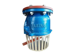 Apa Itu Foot Valve? Fungsi, Cara Kerja, dan Manfaatnya